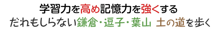 学習力を高め、記憶力を強化 土の道を歩く、鎌倉・逗子・葉山